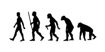 evolution from ape to man
